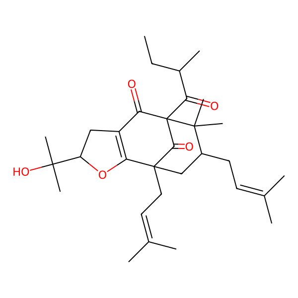 2D Structure of (1S,4R,8S,10R)-4-(2-hydroxypropan-2-yl)-9,9-dimethyl-8-[(2S)-2-methylbutanoyl]-1,10-bis(3-methylbut-2-enyl)-3-oxatricyclo[6.3.1.02,6]dodec-2(6)-ene-7,12-dione