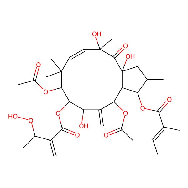 2D Structure of [(1S,2S,3aR,5R,6Z,9S,10R,11S,13R,13aR)-9,13-diacetyloxy-3a,5,11-trihydroxy-2,5,8,8-tetramethyl-1-[(Z)-2-methylbut-2-enoyl]oxy-12-methylidene-4-oxo-1,2,3,9,10,11,13,13a-octahydrocyclopenta[12]annulen-10-yl] 3-hydroperoxy-2-methylidenebutanoate