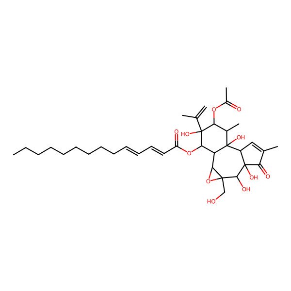 2D Structure of [(1S,2S,4R,5S,6S,10S,11R,12R,13R,14S,15R)-13-acetyloxy-5,6,11,14-tetrahydroxy-4-(hydroxymethyl)-8,12-dimethyl-7-oxo-14-prop-1-en-2-yl-3-oxatetracyclo[9.4.0.02,4.06,10]pentadec-8-en-15-yl] (2E,4E)-tetradeca-2,4-dienoate