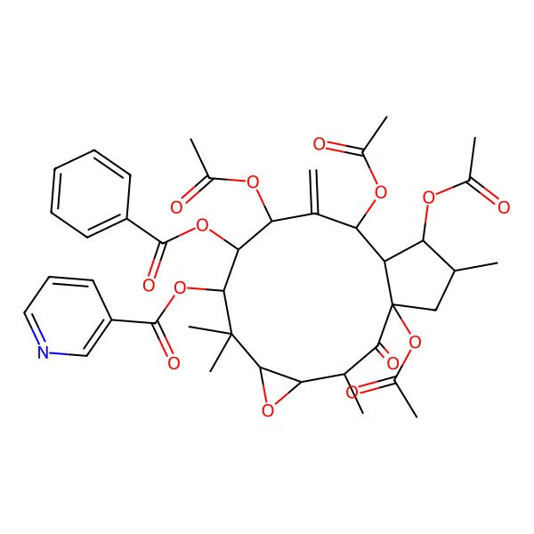 2D Structure of [(1R,3R,4S,6R,8R,9S,10S,12R,13R,14S,15S)-1,10,12,14-tetraacetyloxy-9-benzoyloxy-3,7,7,15-tetramethyl-11-methylidene-2-oxo-5-oxatricyclo[11.3.0.04,6]hexadecan-8-yl] pyridine-3-carboxylate