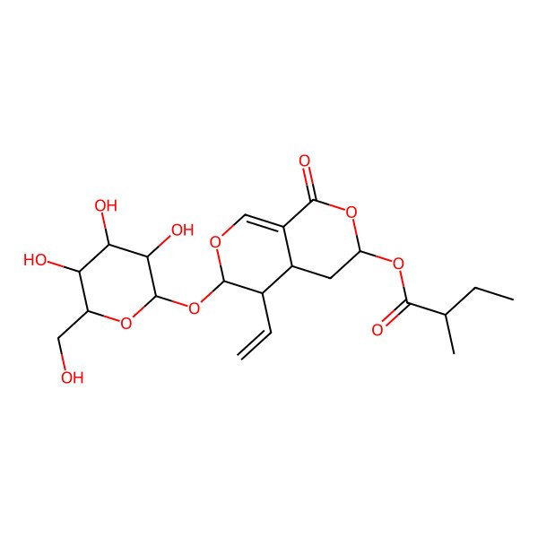 2D Structure of [5-ethenyl-1-oxo-6-[3,4,5-trihydroxy-6-(hydroxymethyl)oxan-2-yl]oxy-4,4a,5,6-tetrahydro-3H-pyrano[3,4-c]pyran-3-yl] 2-methylbutanoate