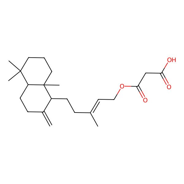 2D Structure of 3-[(E)-5-[(1R,4aR,8aR)-5,5,8a-trimethyl-2-methylidene-3,4,4a,6,7,8-hexahydro-1H-naphthalen-1-yl]-3-methylpent-2-enoxy]-3-oxopropanoic acid