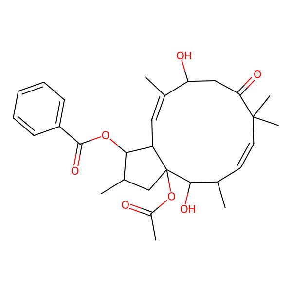 2D Structure of (3a-Acetyloxy-4,11-dihydroxy-2,5,8,8,12-pentamethyl-9-oxo-1,2,3,4,5,10,11,13a-octahydrocyclopenta[12]annulen-1-yl) benzoate