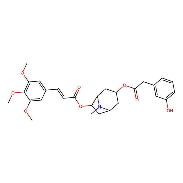 2D Structure of [3-[2-(3-Hydroxyphenyl)acetyl]oxy-8-methyl-8-azabicyclo[3.2.1]octan-6-yl] 3-(3,4,5-trimethoxyphenyl)prop-2-enoate