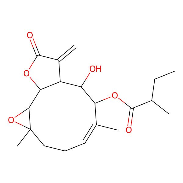 2D Structure of [(1R,2S,4S,7E,9R,10R,11R)-10-hydroxy-4,8-dimethyl-12-methylidene-13-oxo-3,14-dioxatricyclo[9.3.0.02,4]tetradec-7-en-9-yl] (2R)-2-methylbutanoate