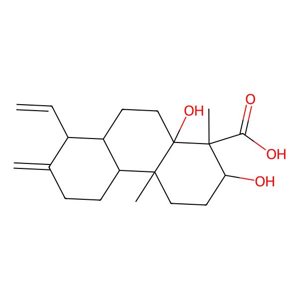 2D Structure of 8-Ethenyl-2,10a-dihydroxy-1,4a-dimethyl-7-methylidene-2,3,4,4b,5,6,8,8a,9,10-decahydrophenanthrene-1-carboxylic acid