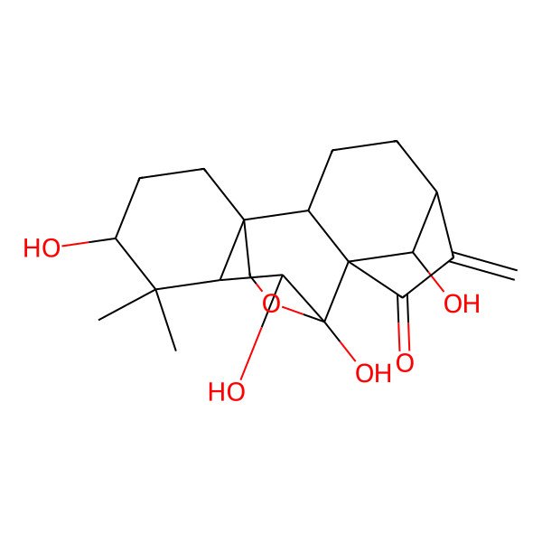 2D Structure of (1R,2S,5S,8R,9S,10S,11S,13R,18R)-9,10,13,18-tetrahydroxy-12,12-dimethyl-6-methylidene-17-oxapentacyclo[7.6.2.15,8.01,11.02,8]octadecan-7-one