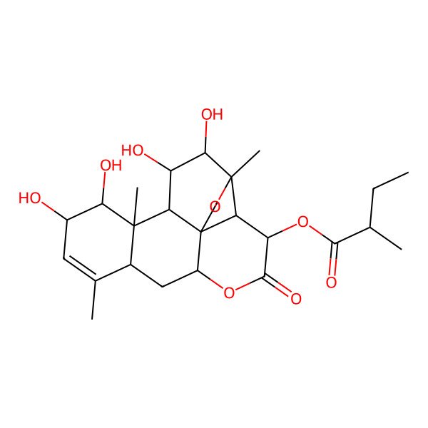 2D Structure of [(1R,2S,3R,6R,8S,11S,12S,13R,14R,15R,16R,17S)-11,12,15,16-tetrahydroxy-9,13,17-trimethyl-4-oxo-5,18-dioxapentacyclo[12.5.0.01,6.02,17.08,13]nonadec-9-en-3-yl] (2R)-2-methylbutanoate