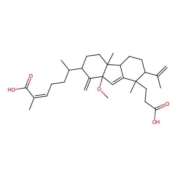 2D Structure of (Z,6R)-6-[(2R,4aS,4bR,7S,8S,9aR)-8-(2-carboxyethyl)-9a-methoxy-4a,8-dimethyl-1-methylidene-7-prop-1-en-2-yl-3,4,4b,5,6,7-hexahydro-2H-fluoren-2-yl]-2-methylhept-2-enoic acid