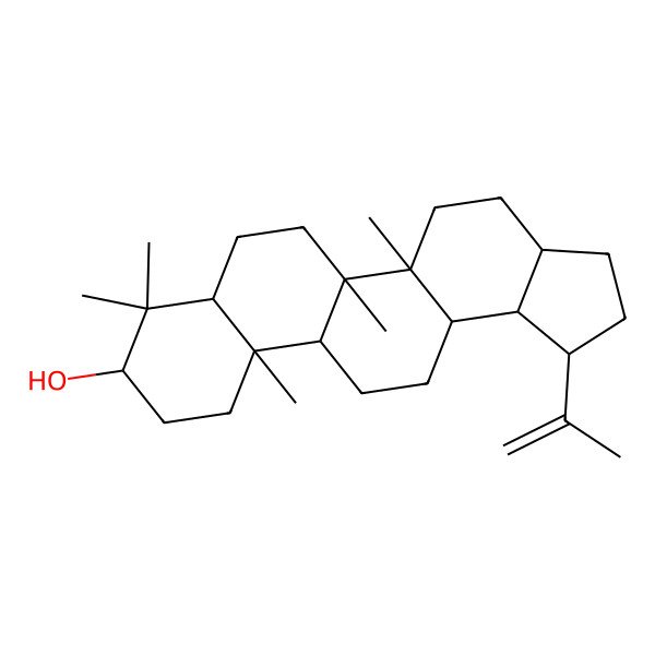 2D Structure of 5a,5b,8,8,11a-pentamethyl-1-prop-1-en-2-yl-2,3,3a,4,5,6,7,7a,9,10,11,11b,12,13,13a,13b-hexadecahydro-1H-cyclopenta[a]chrysen-9-ol