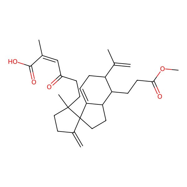 2D Structure of (E)-6-[(1'S,3S,6R,7S,7aS)-7-(3-methoxy-3-oxopropyl)-1'-methyl-3'-methylidene-6-prop-1-en-2-ylspiro[1,2,5,6,7,7a-hexahydroindene-3,2'-cyclopentane]-1'-yl]-2-methyl-4-oxohex-2-enoic acid