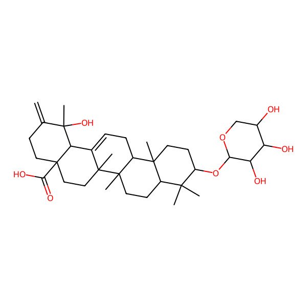 2D Structure of 1-hydroxy-1,6a,6b,9,9,12a-hexamethyl-2-methylidene-10-(3,4,5-trihydroxyoxan-2-yl)oxy-4,5,6,6a,7,8,8a,10,11,12,13,14b-dodecahydro-3H-picene-4a-carboxylic acid