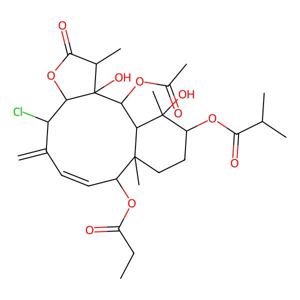 2D Structure of (2-Acetyloxy-8-chloro-3,17-dihydroxy-4,13,17-trimethyl-9-methylidene-5-oxo-12-propanoyloxy-6-oxatricyclo[11.4.0.03,7]heptadec-10-en-16-yl) 2-methylpropanoate