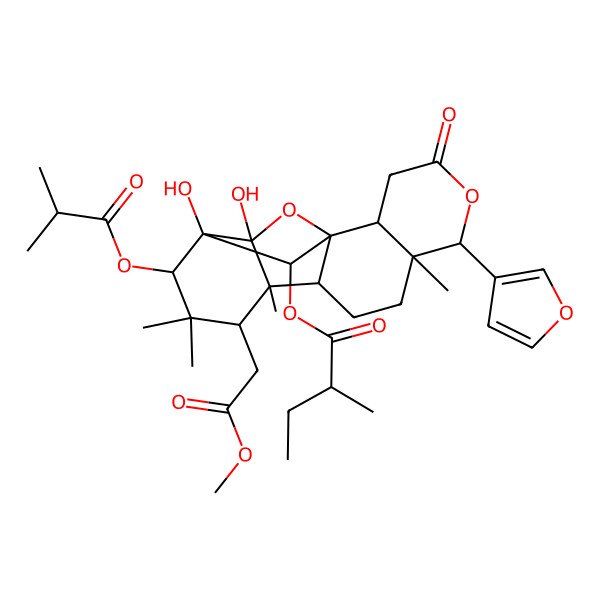 2D Structure of [(1S,2R,6R,7R,10R,11S,12S,14S,15S,16R,18R)-6-(furan-3-yl)-15,16-dihydroxy-12-(2-methoxy-2-oxoethyl)-7,11,13,13-tetramethyl-14-(2-methylpropanoyloxy)-4-oxo-5,17-dioxapentacyclo[13.2.1.01,10.02,7.011,16]octadecan-18-yl] (2S)-2-methylbutanoate