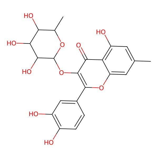 2D Structure of 2-(3,4-dihydroxyphenyl)-5-hydroxy-7-methyl-3-[(2S,3R,4R,5R,6S)-3,4,5-trihydroxy-6-methyloxan-2-yl]oxychromen-4-one