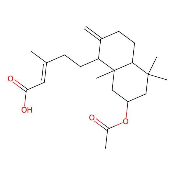 2D Structure of (E)-5-[(1S,4aS,7R,8aS)-7-acetyloxy-5,5,8a-trimethyl-2-methylidene-3,4,4a,6,7,8-hexahydro-1H-naphthalen-1-yl]-3-methylpent-2-enoic acid