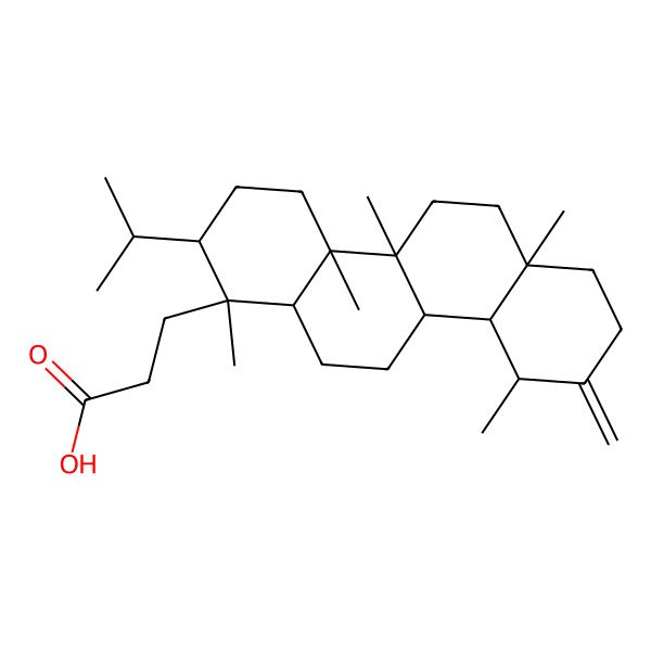 2D Structure of 3-(1,4a,4b,6a,10-pentamethyl-9-methylidene-2-propan-2-yl-3,4,5,6,7,8,10,10a,10b,11,12,12a-dodecahydro-2H-chrysen-1-yl)propanoic acid