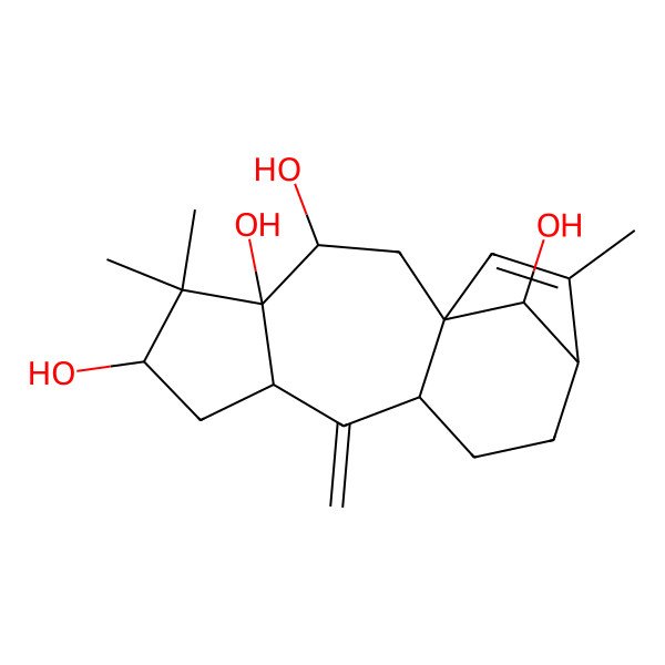 2D Structure of (1S,3R,4R,6S,8S,10S,13S,16S)-5,5,14-trimethyl-9-methylidenetetracyclo[11.2.1.01,10.04,8]hexadec-14-ene-3,4,6,16-tetrol