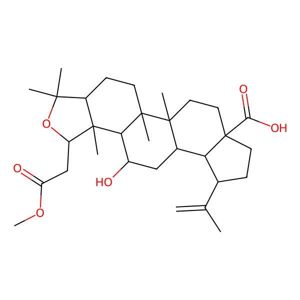 2D Structure of Acanthosessiligenin II