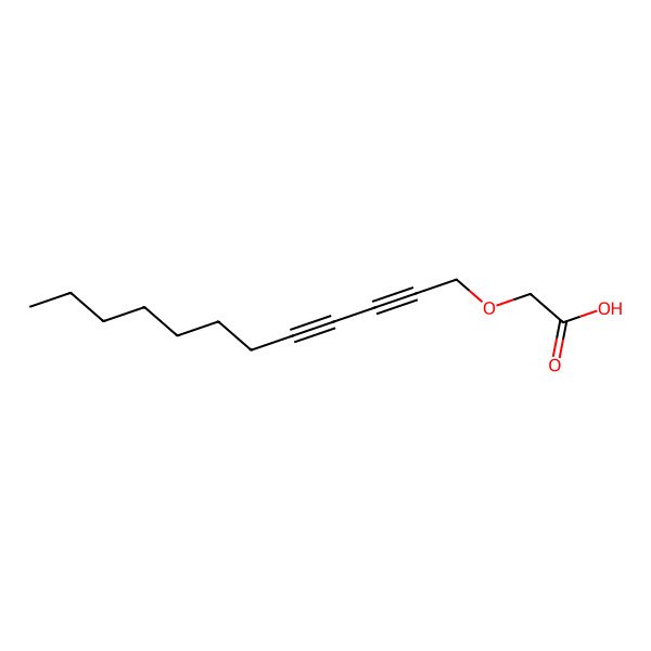 2D Structure of montiporic acid A