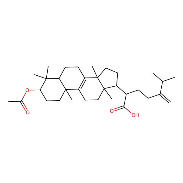 2D Structure of Acetyl Eburicoic Acid
