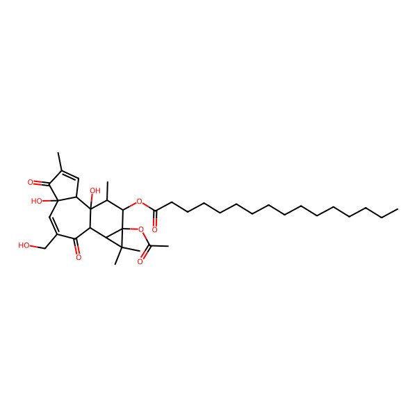 2D Structure of [(1S,2S,6R,10S,11R,13S,14R,15R)-13-acetyloxy-1,6-dihydroxy-8-(hydroxymethyl)-4,12,12,15-tetramethyl-5,9-dioxo-14-tetracyclo[8.5.0.02,6.011,13]pentadeca-3,7-dienyl] hexadecanoate