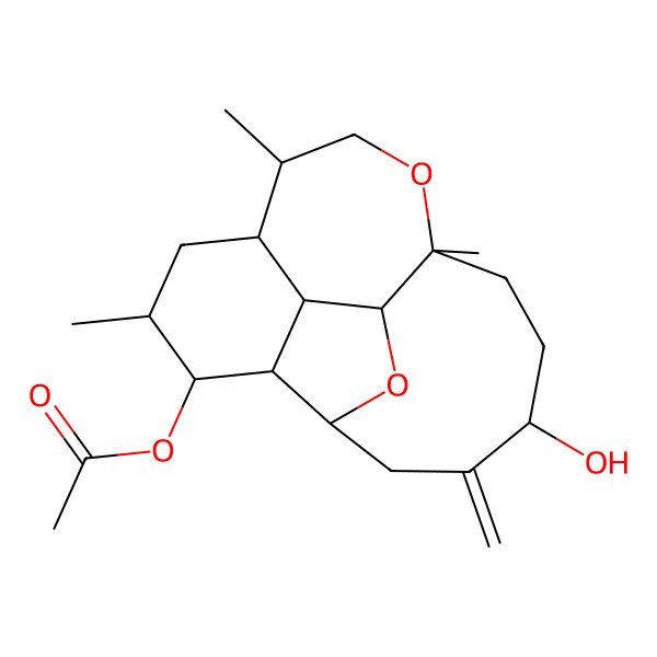 2D Structure of (14-Hydroxy-5,8,11-trimethyl-15-methylidene-10,18-dioxatetracyclo[9.7.0.02,7.03,17]octadecan-4-yl) acetate