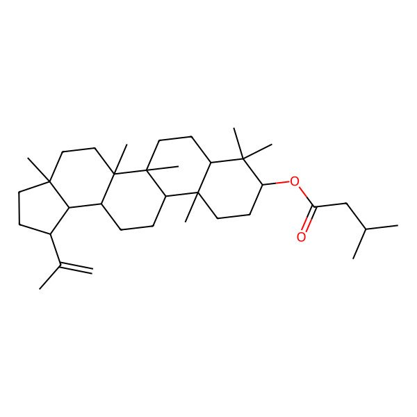 2D Structure of (3a,5a,5b,8,8,11a-Hexamethyl-1-prop-1-en-2-yl-1,2,3,4,5,6,7,7a,9,10,11,11b,12,13,13a,13b-hexadecahydrocyclopenta[a]chrysen-9-yl) 3-methylbutanoate