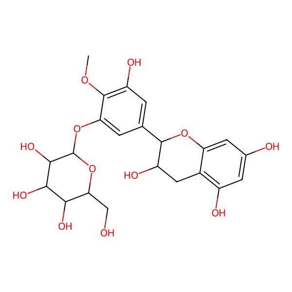 2D Structure of (2R,3S)-2-[3-hydroxy-4-methoxy-5-[(2S,3R,4S,5S,6R)-3,4,5-trihydroxy-6-(hydroxymethyl)tetrahydropyran-2-yl]oxy-phenyl]chromane-3,5,7-triol