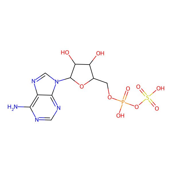 2D Structure of Adenosine-5'-phosphosulfate