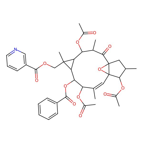 2D Structure of (4,9,13-Triacetyloxy-8-benzoyloxy-3,6,10,14-tetramethyl-2-oxo-16-oxatetracyclo[10.3.1.01,12.05,7]hexadec-10-en-6-yl)methyl pyridine-3-carboxylate
