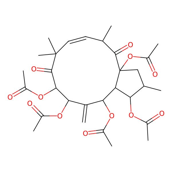 2D Structure of (3a,10,11,13-Tetraacetyloxy-2,5,8,8-tetramethyl-12-methylidene-4,9-dioxo-1,2,3,5,10,11,13,13a-octahydrocyclopenta[12]annulen-1-yl) acetate
