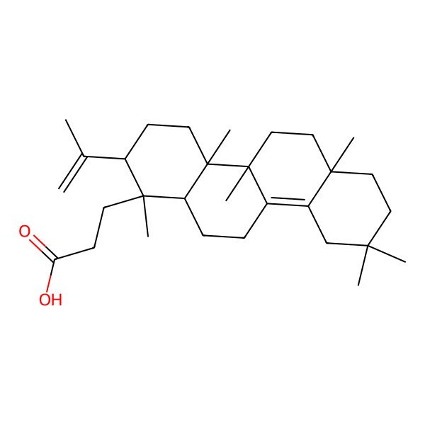 2D Structure of 3-[(1S,2S,4aR,4bS,6aR,12aR)-1,4a,4b,6a,9,9-hexamethyl-2-prop-1-en-2-yl-3,4,5,6,7,8,10,11,12,12a-decahydro-2H-chrysen-1-yl]propanoic acid