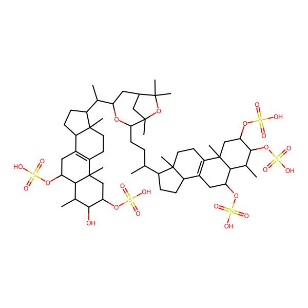 2D Structure of [(2S,3R,4R,5S,6S,10S,13R,14R,17R)-17-[(2R)-4-[(2S,4R,6S)-4-[(1S)-1-[(2S,3R,4R,5S,6S,10S,13R,14R,17S)-3-hydroxy-4,10,13-trimethyl-2,6-disulfooxy-2,3,4,5,6,7,11,12,14,15,16,17-dodecahydro-1H-cyclopenta[a]phenanthren-17-yl]ethyl]-1,7,7-trimethyl-3,8-dioxabicyclo[4.2.1]nonan-2-yl]butan-2-yl]-4,10,13-trimethyl-2,3-disulfooxy-2,3,4,5,6,7,11,12,14,15,16,17-dodecahydro-1H-cyclopenta[a]phenanthren-6-yl] hydrogen sulfate
