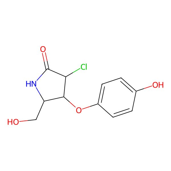 2D Structure of Aegyptolidine B