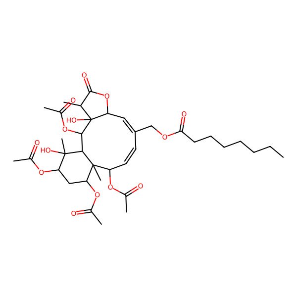 2D Structure of [(1S,2S,3S,4R,7S,8E,10Z,12S,13R,14S,16R,17S)-2,12,14,16-tetraacetyloxy-3,17-dihydroxy-4,13,17-trimethyl-5-oxo-6-oxatricyclo[11.4.0.03,7]heptadeca-8,10-dien-9-yl]methyl octanoate