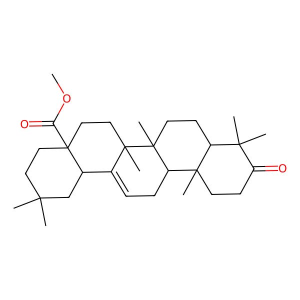 2D Structure of methyl (4aS,6aS,6aS,6bR,8aS,12aR,14bS)-2,2,6a,6b,9,9,12a-heptamethyl-10-oxo-3,4,5,6,6a,7,8,8a,11,12,13,14b-dodecahydro-1H-picene-4a-carboxylate
