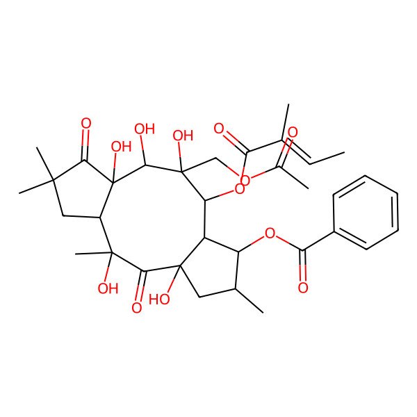 2D Structure of [10-(Acetyloxymethyl)-2,4,10,11,12-pentahydroxy-2,6,14,14-tetramethyl-9-(2-methylbut-2-enoyloxy)-3,13-dioxo-7-tricyclo[10.3.0.04,8]pentadecanyl] benzoate