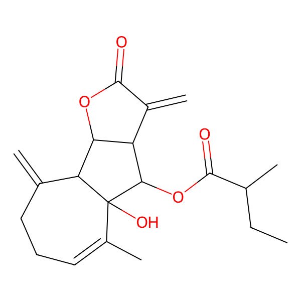 2D Structure of [(3aS,4R,4aR,9aS,9bR)-4a-hydroxy-5-methyl-3,9-dimethylidene-2-oxo-3a,4,7,8,9a,9b-hexahydroazuleno[1,2-b]furan-4-yl] (2R)-2-methylbutanoate