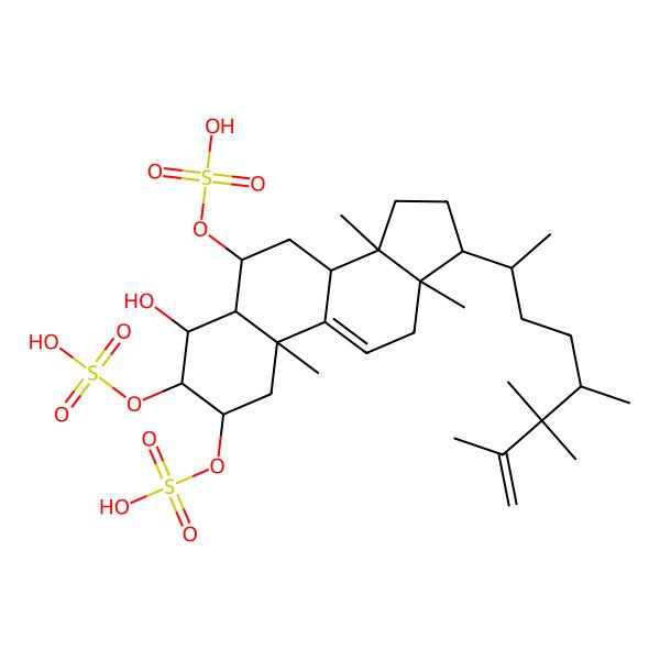 2D Structure of [(2S,3S,4R,5R,6S,8S,10S,13R,14S,17R)-4-hydroxy-10,13,14-trimethyl-2,3-disulfooxy-17-[(2R)-5,6,6,7-tetramethyloct-7-en-2-yl]-1,2,3,4,5,6,7,8,12,15,16,17-dodecahydrocyclopenta[a]phenanthren-6-yl] hydrogen sulfate