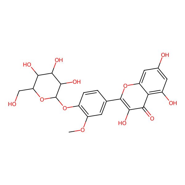 2D Structure of Alliumoside A