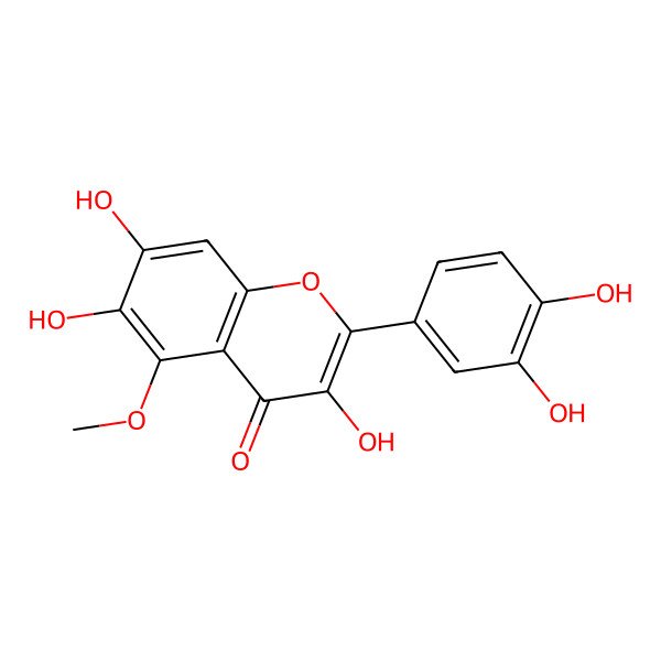 2D Structure of Allopatuletin