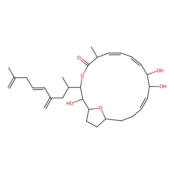 2D Structure of Amphidinolide E