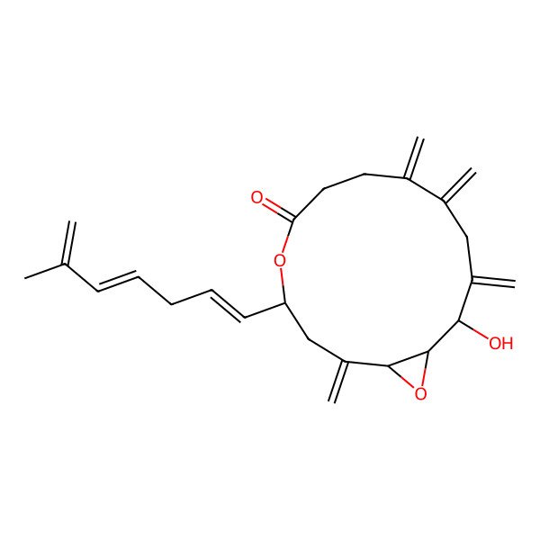2D Structure of Amphidinolide V