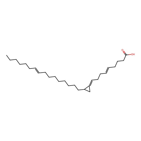 2D Structure of Amphimic acid B