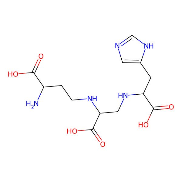 2D Structure of Amphistin