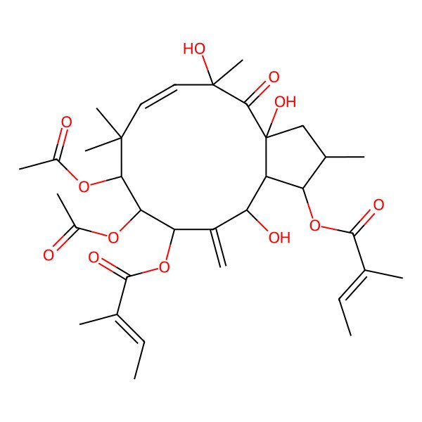 2D Structure of [(1S,2S,3aR,5R,6Z,9S,10S,11S,13R,13aS)-9,10-diacetyloxy-3a,5,13-trihydroxy-2,5,8,8-tetramethyl-11-[(Z)-2-methylbut-2-enoyl]oxy-12-methylidene-4-oxo-1,2,3,9,10,11,13,13a-octahydrocyclopenta[12]annulen-1-yl] (Z)-2-methylbut-2-enoate