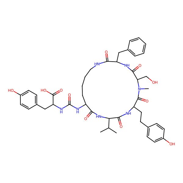 2D Structure of Anabaenopeptin SA13