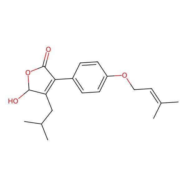 2D Structure of Antrocinnamomin D