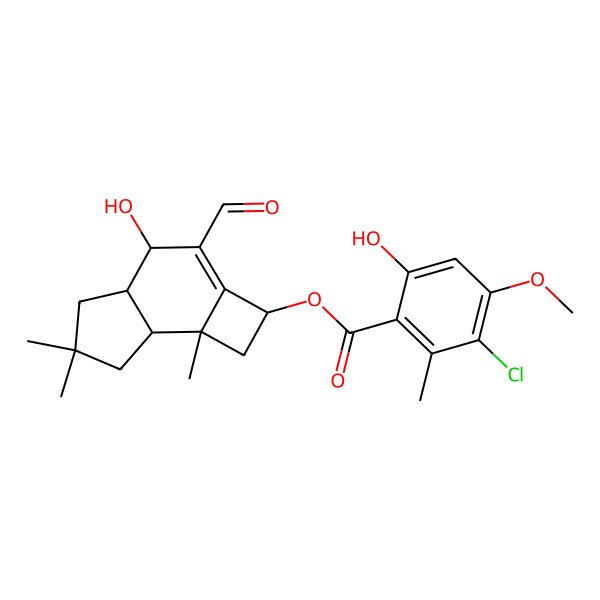 2D Structure of Arnamial